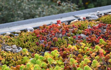 the cost of Craigend green roof installation