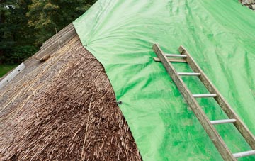 maintaining Craigend thatch