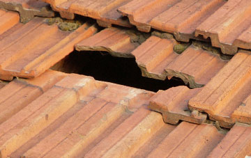 roof repair Craigend
