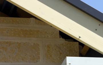 soffit repair Craigend
