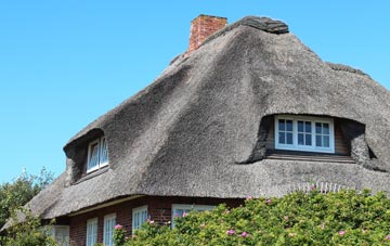 thatch roofing Craigend